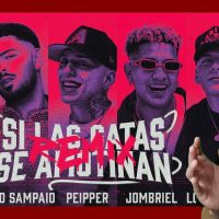 Coreano Loco reacciona a SI LA GATA SE AMOTINAN REMIX 🔥 Peipper, Doblep, Jombriel, Pedro Sampaio